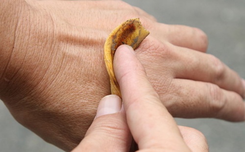 Utilizări ale cojilor de banană ce vizează pielea