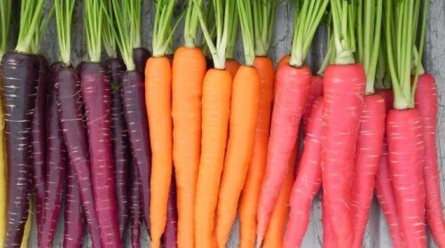 Morcovii sunt alimente care detoxifică rinichii