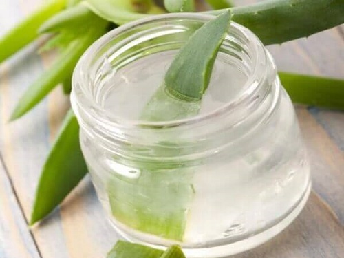 Aloe vera tratează escarele de decubit ușoare