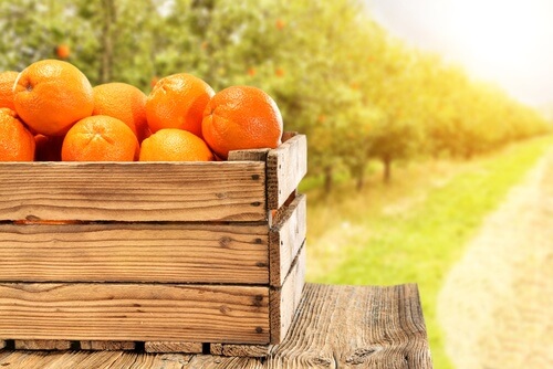 Beneficii ale consumului de citrice proaspete