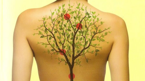 Impactul emoțiilor asupra organelor – 5 informații utile Impactul emoțiilor asupra organelor – 5 informații utile