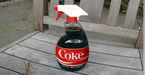 Una dintre ineditele întrebuințări practice ale sucului Coca-Cola este cea de pesticid