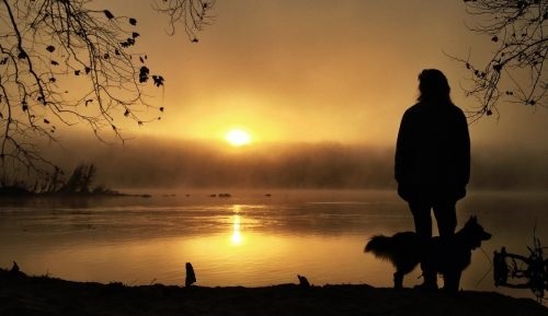 Oamenii cărora le place să fie singuri au un animal