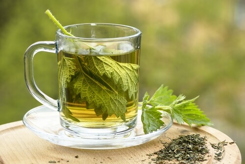Infuzii din plante ca remedii împotriva durerii de genunchi