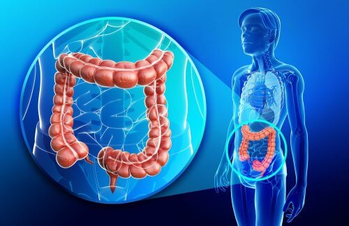 Sănătatea intestinelor poate fi afectată de mai mulți factori