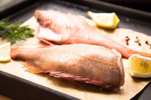 Sebastes este unul dintre cele mai nocive soiuri de pește
