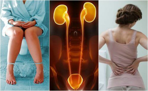 7 simptome ale insuficienței renale 7 simptome ale insuficienței renale