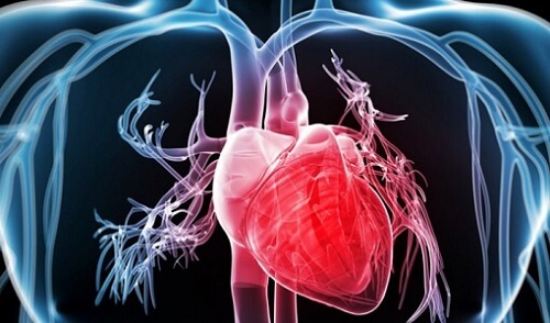 Simptome ale stopului cardiac ce pun în pericol viața