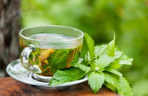 Tratează ficatul gras cu infuzie de mentă și boldo
