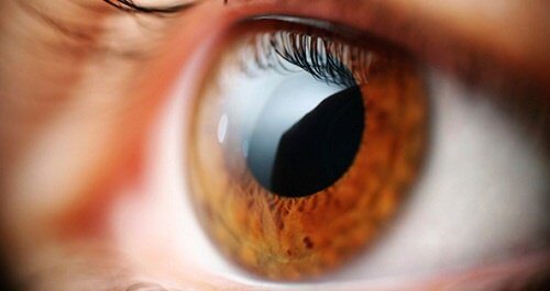 vedere încețoșată din cauza muncii cum miopia va restabili vederea