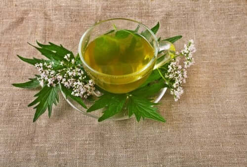 5 plante medicinale pentru tratarea depresiei
