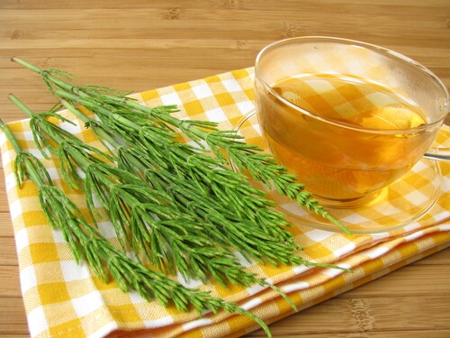 Coada calului pentru detoxifierea naturală a rinichilor