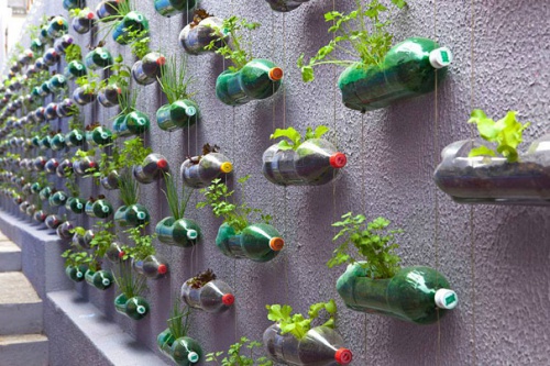 Reciclarea sticlelor de plastic într-o grădină specială