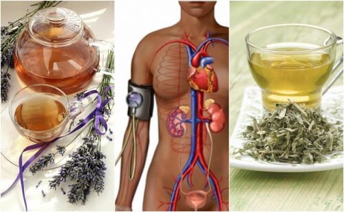 Reducerea tensiunii arteriale cu 5 remedii naturale Reducerea tensiunii arteriale cu 5 remedii naturale