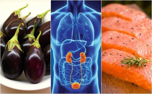 7 alimente care susțin sănătatea renală 7 alimente care susțin sănătatea renală