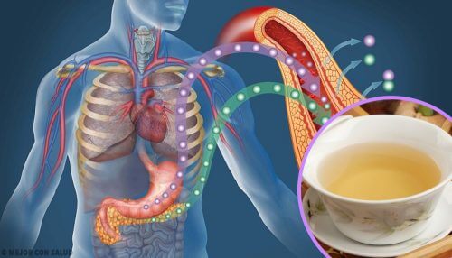 4 ceaiuri care scad nivelul glicemiei
