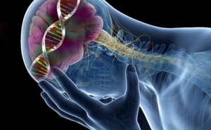 9 efecte ale carenței de serotonină