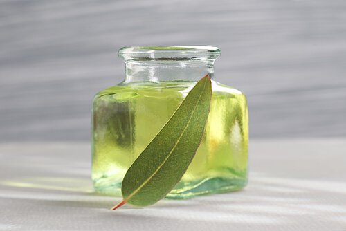 Eucaliptul pe lista de remedii naturale pentru bronșită