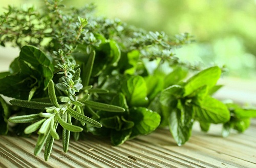 Ierburi aromatice pe lista de trucuri pentru combaterea respirației urât mirositoare
