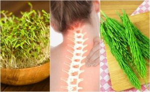7 plante medicinale benefice pentru sistemul osos