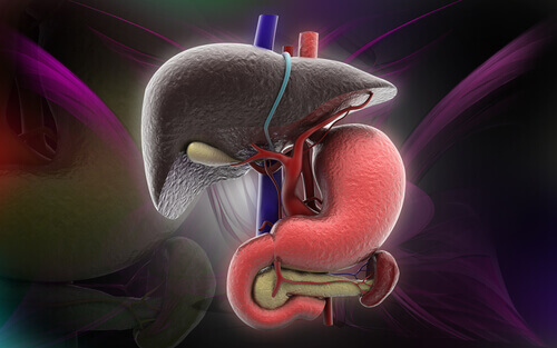 Simptome ale steatozei hepatice ce impun diagnosticarea sa