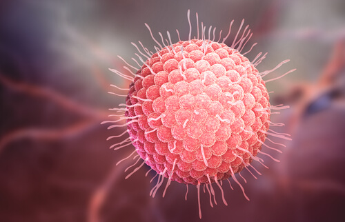 Simptome cauzate de zona zoster ce au la bază un virus