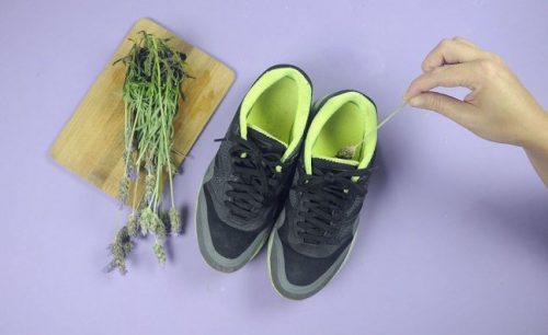 Lavanda pe lista de remedii pentru mirosul neplăcut din pantofi