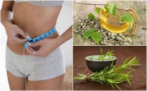 8 plante sănătoase care ajută la slăbit