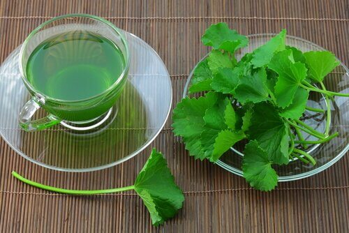 Țelina inclusă în ceaiurl pentru detoxifierea naturală a organismului