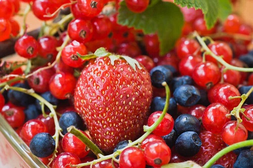 Tratamente externe și interne pentru varice cu fructe roșii