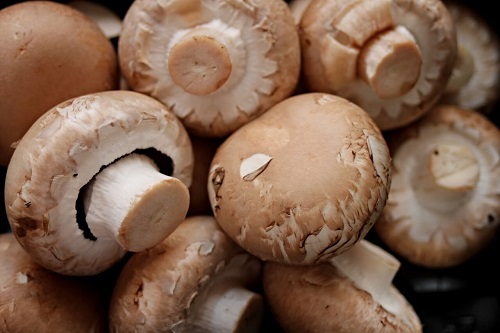 Ciupercile incluse pe lista de alimente care fortifică sistemul imunitar