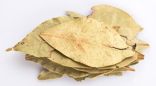 Frunzele de dafin sunt remedii naturale care întăresc plămânii
