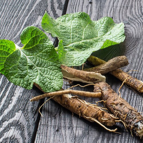 Rădăcina de lemn dulce pe lista de remedii naturale care întăresc plămânii