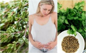 Plante carminative pentru a combate gazele intestinale