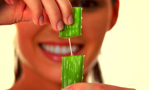 Proprietăți ale plantei aloe vera care înfrumusețează părul