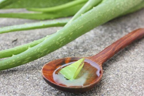 Tonifierea pielii lăsate după slăbire cu aloe vera