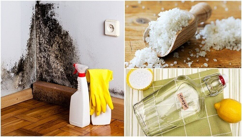 5 trucuri pentru a elimina umezeala din casă