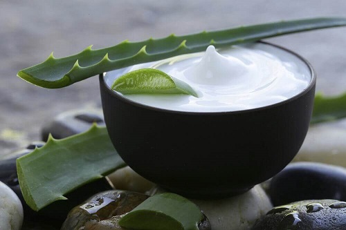 Lapte de cocos inclus în tratamente cu aloe vera pentru un păr mai sănătos