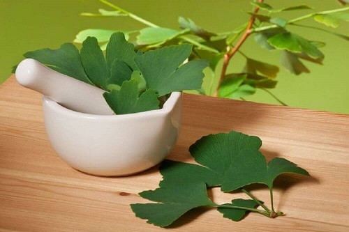 Remedii naturale pentru tinitus precum ginkgo biloba