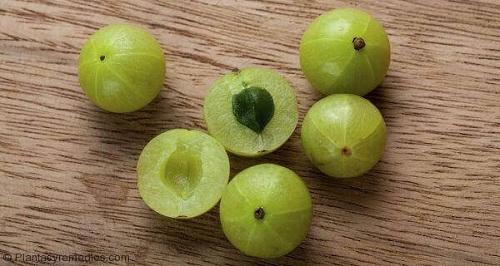 Agrișele ca parte dintr-o bună dietă pentru persoanele cu ficat gras