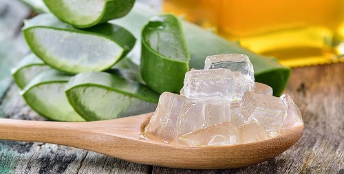Aloe vera inclus în remedii naturiste pentru ciupercile pielii