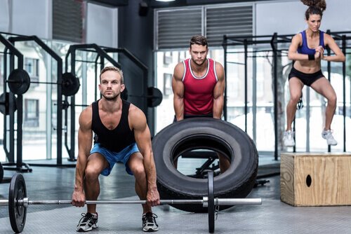 Exerciții pentru tonifierea spatelui la sală