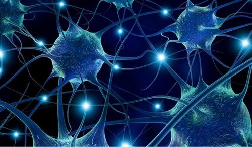 Prevenirea bolilor neurodegenerative pe lista de motive pentru a consuma fistic