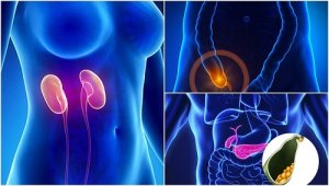 7 organe de care nu ai nevoie ca să trăiești
