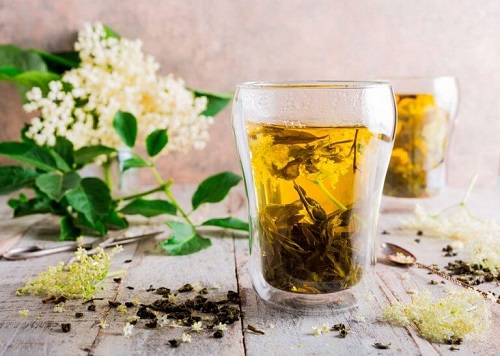 Arome naturale care alungă țânțarii precum socul