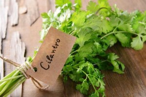 7 beneficii ale coriandrului pentru sănătate