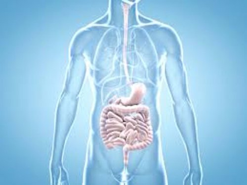 Intestine afectate de simptome inițiale ale cancerului