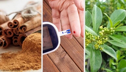5 plante medicinale care luptă împotriva diabetului