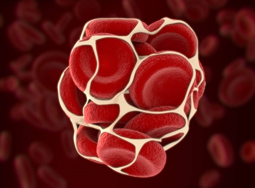Structura unei celule de sânge
