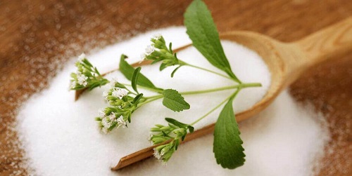 Infuzii medicinale pentru tratarea diabetului cu stevia